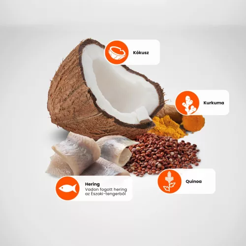 N&D Quinoa Skin & Coat Hering Száraz Kutyaeledel 2,5kg