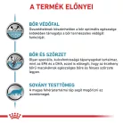 Royal Canin Veterinary Skin&Coat bőr és szőrápoló száraz macskaeledel 1,5kg