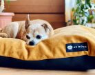 NRDOGS Basic Soft Magic Okker fekhely L