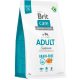 Brit Care Grain-Free száraz kutyaeledel adult lazac&burgonya 3kg