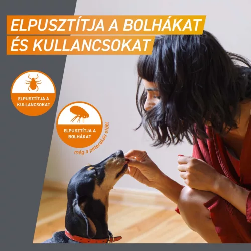 FRONTPRO® rágótabletta kutyáknak bolhák és kullancsok ellen (>4–10 kg) 3db