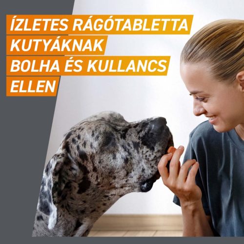 FRONTPRO® rágótabletta kutyáknak bolhák és kullancsok ellen (>25–50 kg) 3db