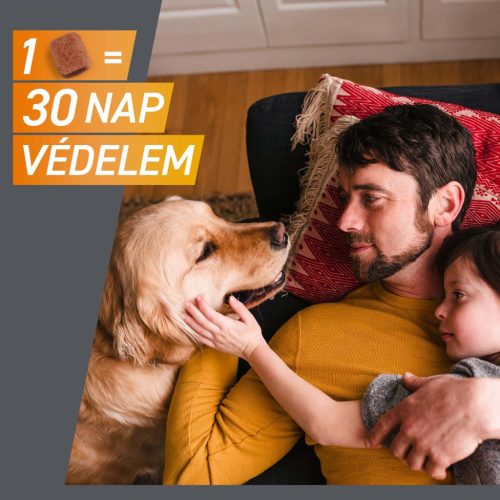 FRONTPRO® rágótabletta kutyáknak bolhák és kullancsok ellen (>25–50 kg) 3db