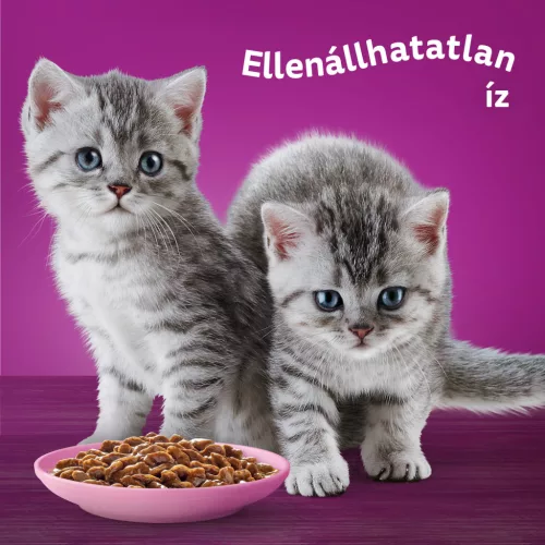 Whiskas Junior klasszikus kölyök macska tasak MP 12x85g