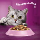 Whiskas adult száraz macskaeledel lazac 1,4kg
