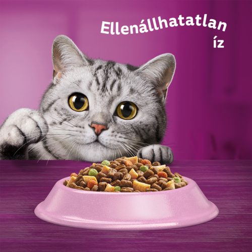 Whiskas adult száraz macskaeledel steril lazac 1,4kg