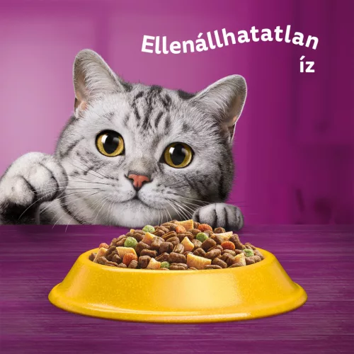 Whiskas adult száraz macskaeledel steril csirke 800g