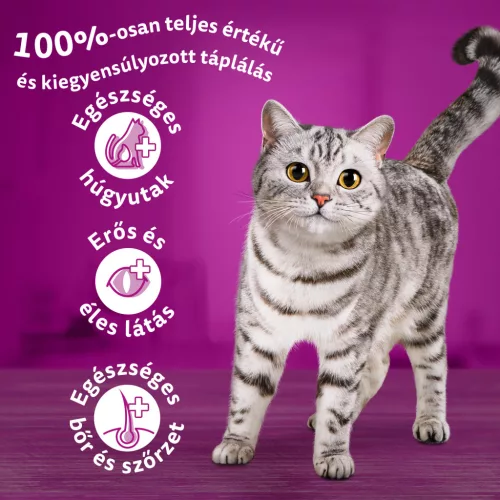 Whiskas adult száraz macskaeledel steril csirke 800g