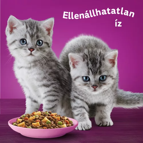 Whiskas junior száraz macskaeledel csirke 1,4kg