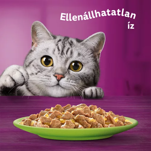 Whiskas macska tasak MP halas&húsos válogatás 12x85g