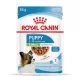 Royal Canin Size Health Nutrition X-Small puppy kutya tasak 12x85g