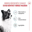 Royal Canin Size Health Nutrition X-Small puppy kutya tasak 12x85g