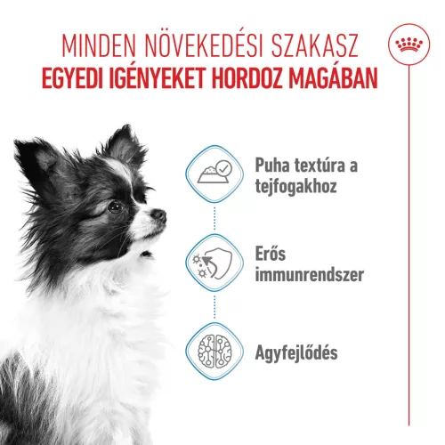 Royal Canin Size Health Nutrition X-Small puppy kutya tasak 12x85g