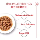 Royal Canin Size Health Nutrition X-Small puppy kutya tasak 12x85g