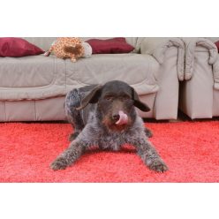 Matifu sportos, cuki örökgyerek