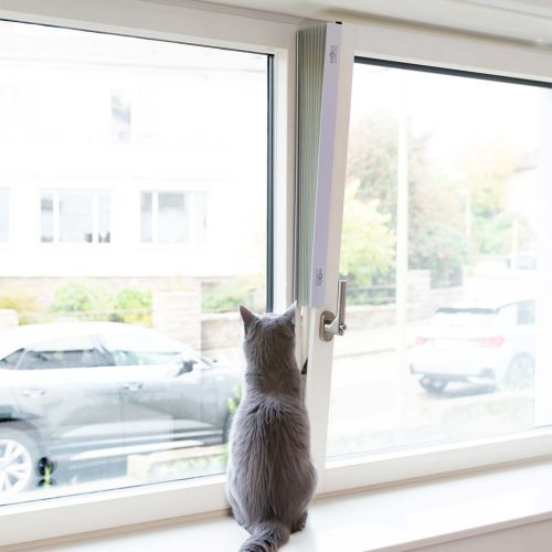 More For macska védelem pliszé