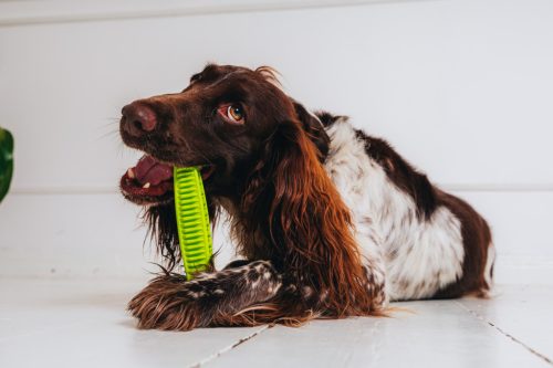 Fiboo Fiboone dental rágójáték zöld 19cm