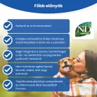 N&D Spirulina bárány&goji-bogyó adult mini száraz kutyaeledel 2kg