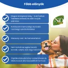 N&D Prime Vaddisznó & Alma Felnőtt Mini Száraz Kutyaeledel 800g