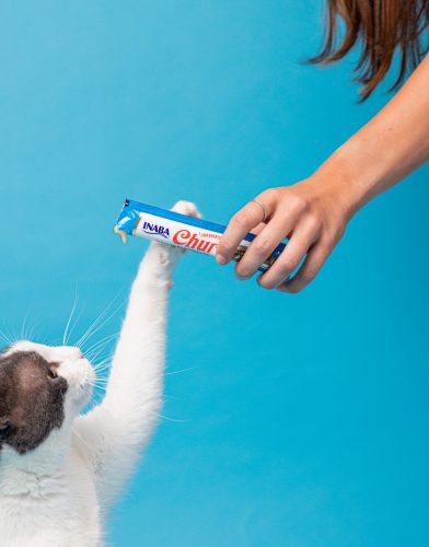 INABA Churu Hairball krém tonhal 4x14g