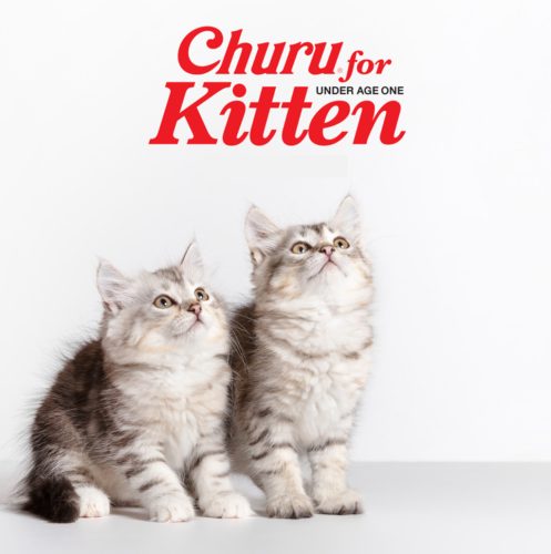 INABA Churu krém kitten csirke 4x14g