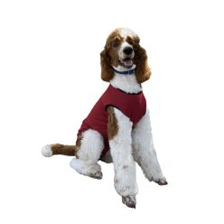 Kutya body szukáknak bordó XXS