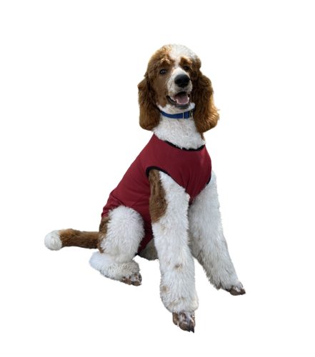 Kutya body szukáknak bordó L