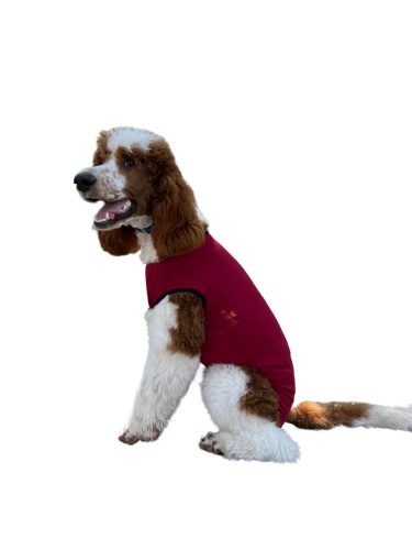 Kutya body szukáknak bordó L