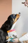 Beaphar Flexifit Snack ízület támogató kutya jutalomfalat 175g