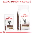 Royal Canin Veterinary Gastrointestinal Fibre Response emésztés rostban gazdag nedves macskaeledel  12x85g