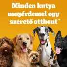 Pedigree Small junior száraz kutyaeledel baromfi&zöldség 500g