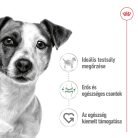 Royal Canin konzerv mini adult nedves kutyaeledel 12x195g