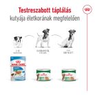 Royal Canin konzerv mini adult nedves kutyaeledel 12x195g