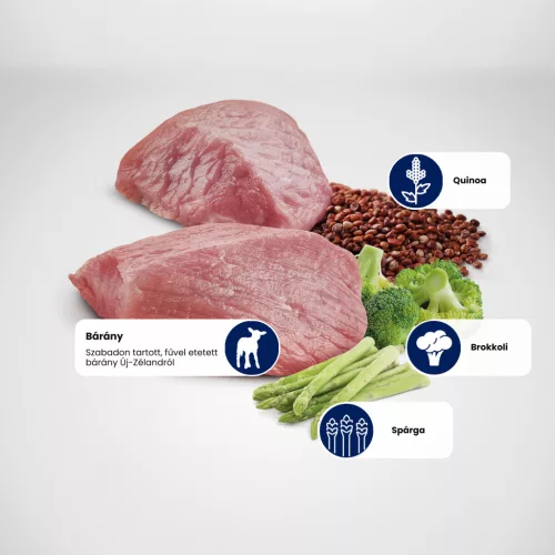 N&D Quinoa Weight Management Bárány Medium & Maxi Felnőtt Száraz Kutyaeledel 2,5kg