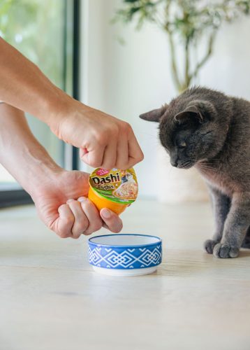 INABA Dashi Delights tál csirke&tonhal&lazac 70g