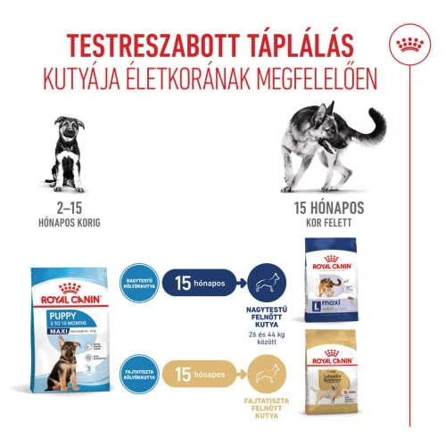 Royal Canin Size Health Nutrition Maxi puppy száraz kutyaeledel 12kg