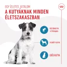 Royal Canin Training Treats kutya jutalomfalat 110g