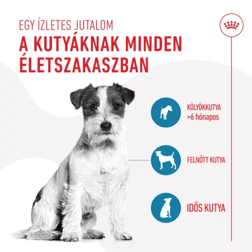Royal Canin Training Treats kutya jutalomfalat 110g
