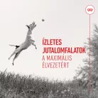 Royal Canin Training Treats kutya jutalomfalat 110g