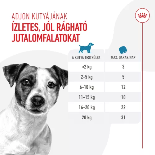 Royal Canin Training Treats kutya jutalomfalat 110g
