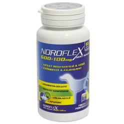   Noroflex 600+100mg 60db ízületvédő, fájdalomcsökkentő rágótabletta kutyáknak