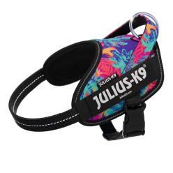 JULIUS K9 Power&More kutyahám -  Vibe XS