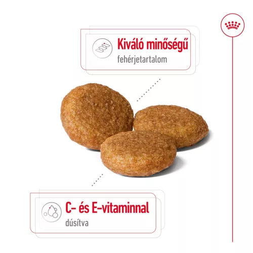Royal Canin Size Health Nutrition Medium adult száraz kutyaeledel 3kg