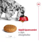 Royal Canin Size Health Nutrition Medium adult száraz kutyaeledel 3kg