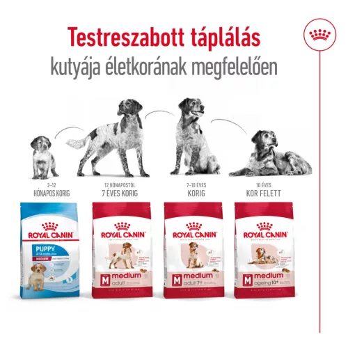 Royal Canin Size Health Nutrition Medium adult száraz kutyaeledel 3kg