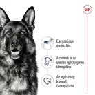 Royal Canin Size Health Nutrition Maxi adult száraz kutyaeledel 3kg