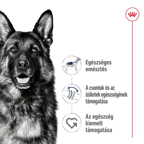 Royal Canin Size Health Nutrition Maxi adult száraz kutyaeledel 3kg