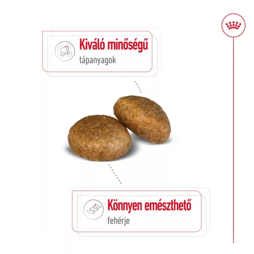 Royal Canin Size Health Nutrition Maxi adult száraz kutyaeledel 3kg