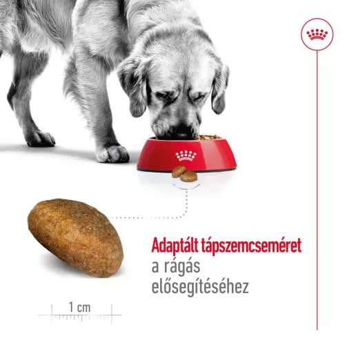 Royal Canin Size Health Nutrition Maxi adult száraz kutyaeledel 3kg
