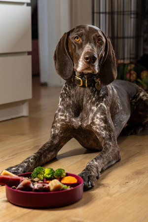 Fiboo Slow Fiboowl habzsolásgátló tál burgundi 19cm